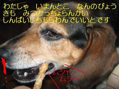 d0104209_20331763.jpg