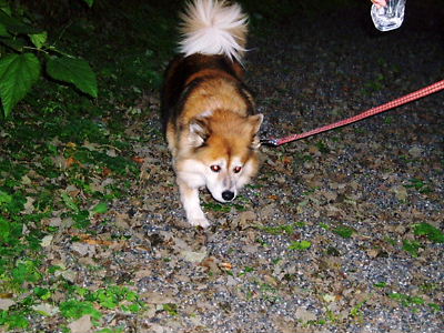 c0029913_16512358.jpg