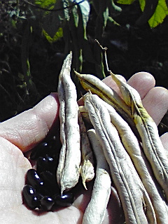 f0049813_14335314.jpg