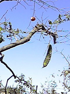 f0049813_14335351.jpg
