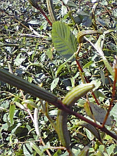 f0049813_14335356.jpg