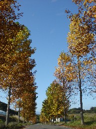 e0090714_2256274.jpg