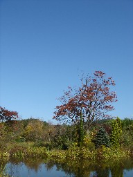 e0090714_2257536.jpg