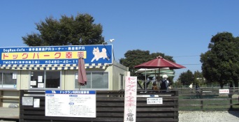 d0098316_21202437.jpg