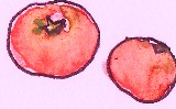 e0124916_11582344.jpg