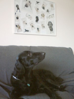 c0012120_17475787.jpg