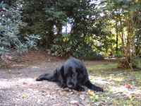 c0012120_1822892.jpg