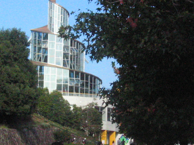 e0125722_1632942.jpg