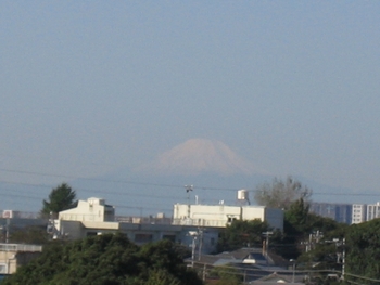 b0028524_20364114.jpg