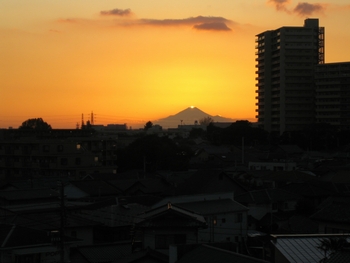 b0028524_20454878.jpg