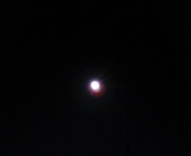 d0002224_232232.jpg