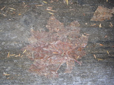 f0036924_23402026.jpg