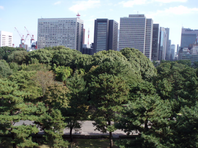 f0057324_15522484.jpg