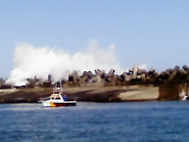 f0125225_19583034.jpg