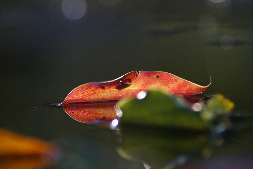 a0016829_743377.jpg