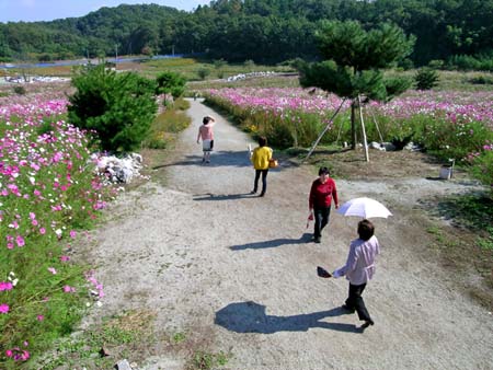 d0029829_0272869.jpg