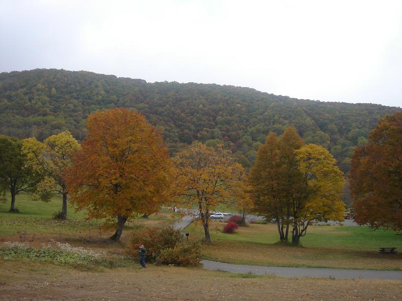f0131535_0511992.jpg