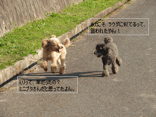 c0136736_1742220.gif