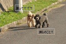 c0136736_174728.gif