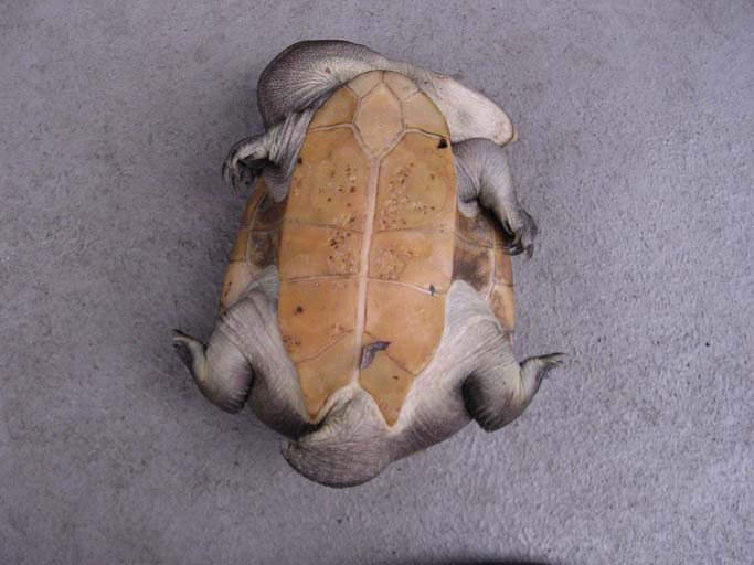 e0119439_23422526.jpg