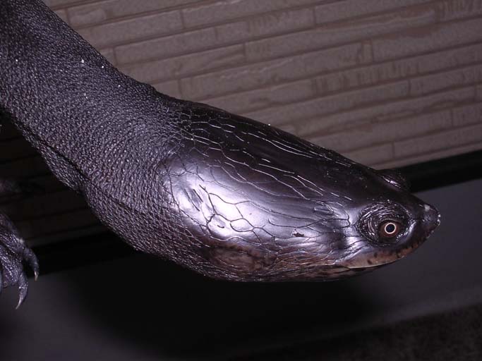 e0119439_23504195.jpg