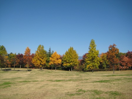 f0131939_21424676.jpg