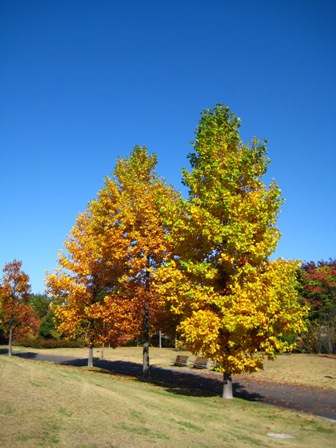 f0131939_2142564.jpg