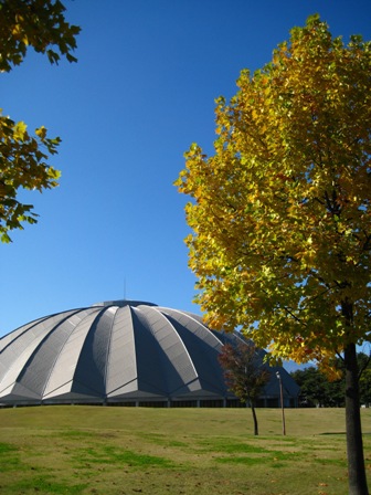 f0131939_2145022.jpg