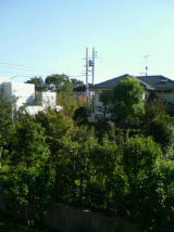 b0075140_14381771.jpg