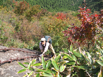 e0110940_2005575.jpg