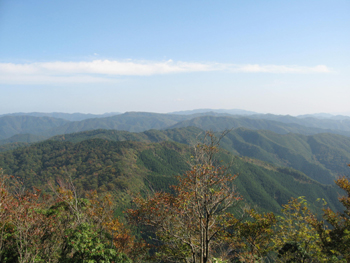 e0110940_2021047.jpg