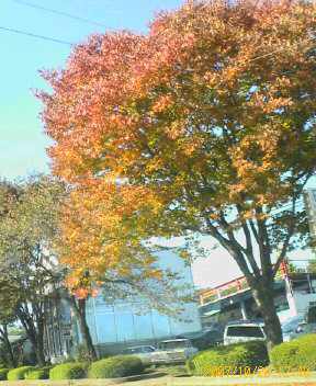 f0087347_22443947.jpg