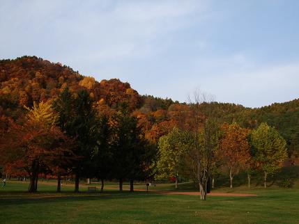 f0149057_2342259.jpg