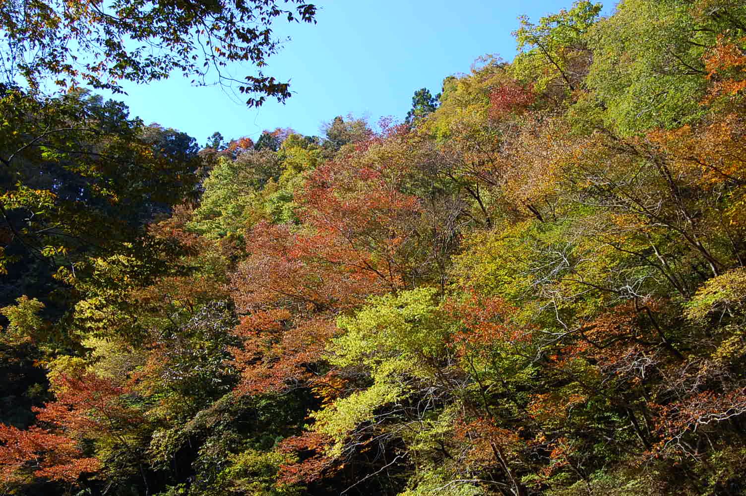 b0112758_17135151.jpg