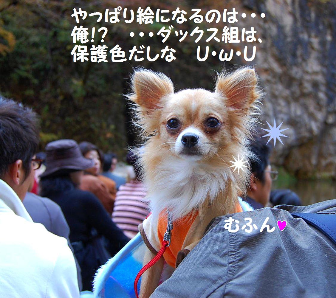 b0112758_17283511.jpg