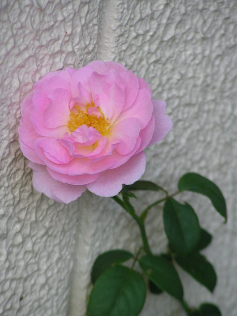f0074659_0121291.jpg