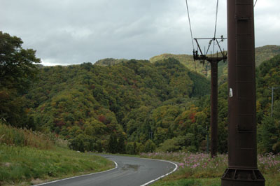 c0050264_13325235.jpg