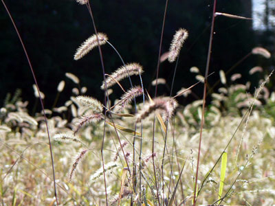 f0086169_16545469.jpg