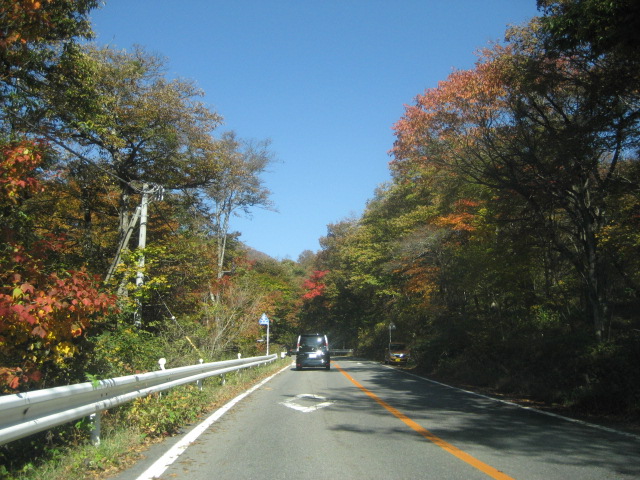 b0032079_22532784.jpg