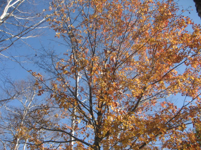 b0032079_2254427.jpg