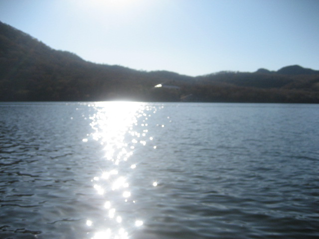 b0032079_230171.jpg
