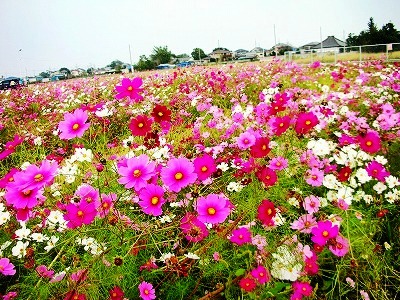 c0078480_23454917.jpg