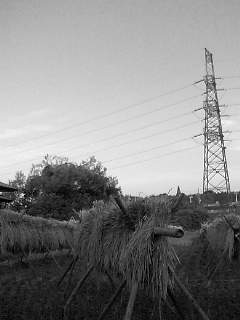 f0100480_1841116.jpg