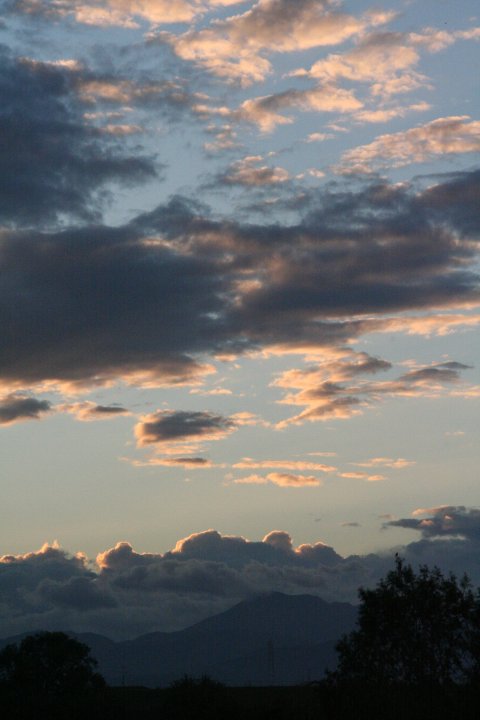 a0060882_7144332.jpg
