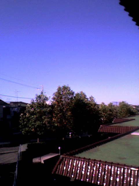 f0016783_13354947.jpg