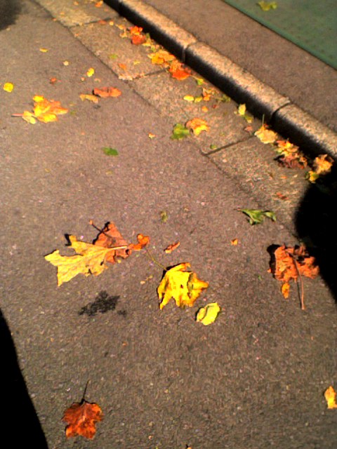 f0016783_13361957.jpg