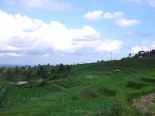 b0101284_21343098.jpg