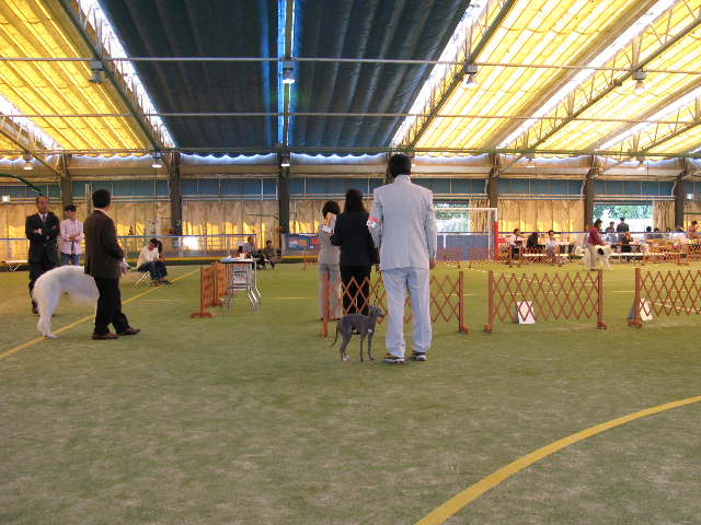 f0158186_21401825.jpg