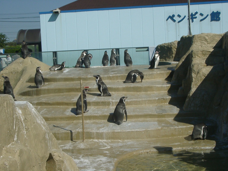 c0006589_20512827.jpg