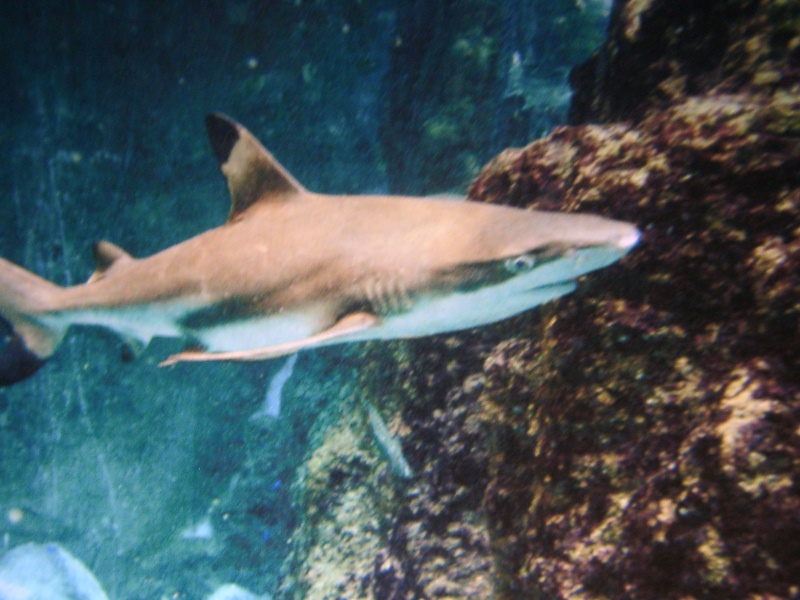 c0006589_20514767.jpg